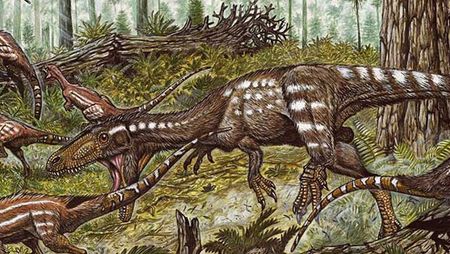 Le dinosaure Tachiraptor admirabilis.