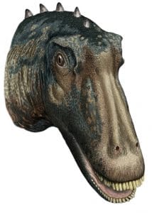 Kaatedocus.