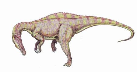Dinosaure Suchomimus tenerensis.