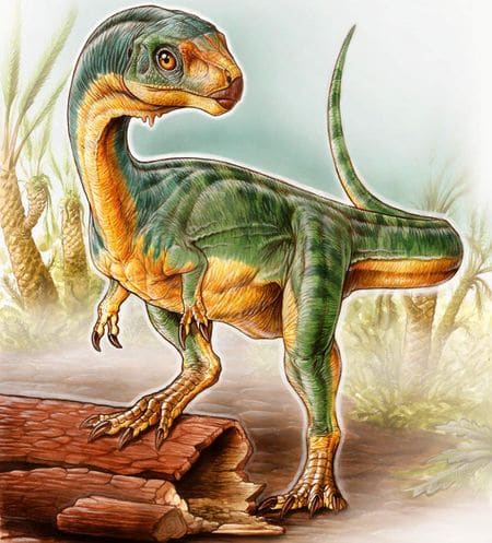 Chilesaurus Diegosuarezi.