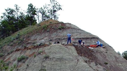 Site paléontologique dans le Montana (USA) où ont été trouvés les fossiles du dinosaure Spiclypeus.