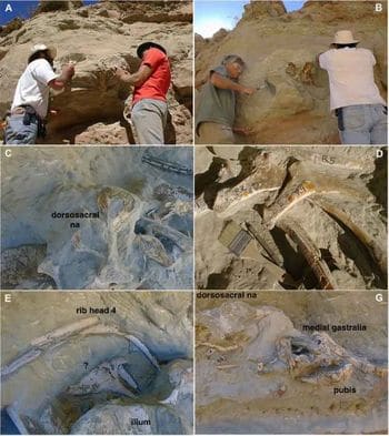 Site de fouilles paléontologiques où ont été trouvés les fossiles du dinosaure Murusraptor.