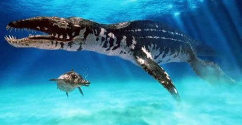 Les Pliosaures étaient de grands diapsides marins, anciennement qualifiés de reptiles marins.