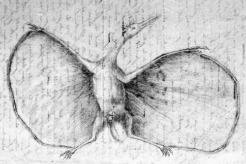 Un des deux dessins de Pterodactylus antiquus de Jean Hermann de Strasbourg, envoyé à George Cuvier en 1800.
