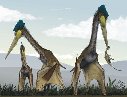 Le Ptérosaure Quetzalcoatlus : un groupe en chasse, l'un d'eux a attrapé un petit dinosaure.