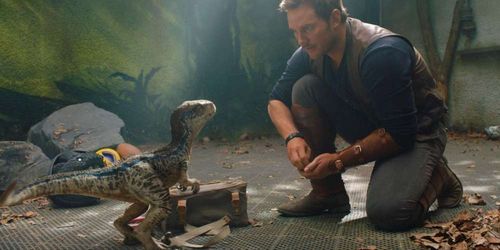Chris Pratt et un bébé dinosaure dans Jurassic World Fallen Kingdom