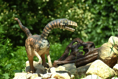Compsognathus longipes.