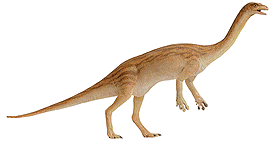anchisaurus.