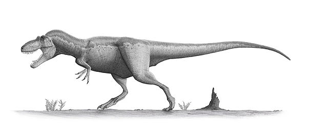 daspletosaurus.