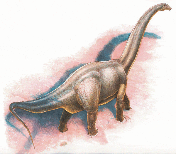 haplocanthosaurus.