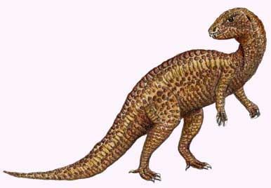 heterodontosaurus.