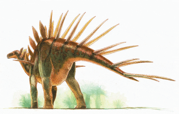 kentrosaurus.