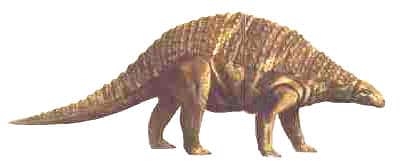 nodosaurus.
