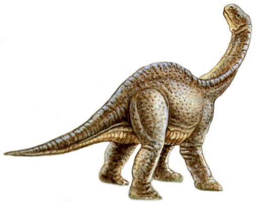 ohmdenosaurus.