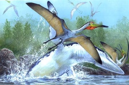 Pterodactylus (Ptérodactyle).