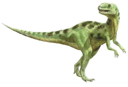 yangchuanosaurus.jpg