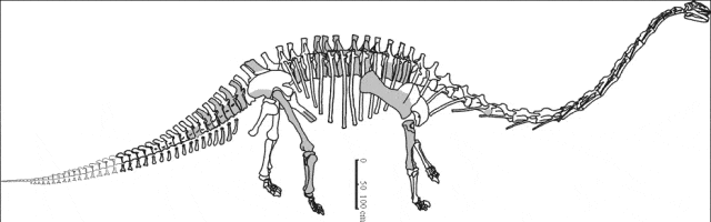 yuanmousaurus.