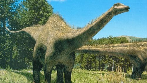 Diplodocus : article sur ce dinosaure