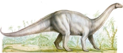 Le dinosaure Melanorosaurus.