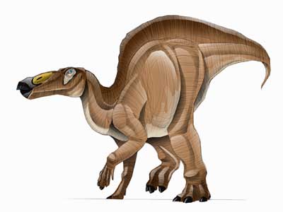 shantungosaurus.