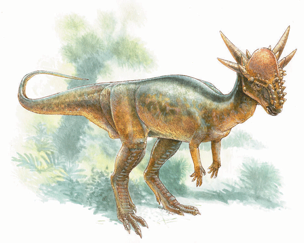 stygimoloch.