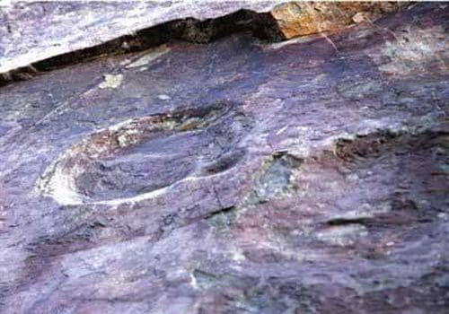 Empreintes fossilisées de dinosaures dans le district de Yanqing (Chine).
