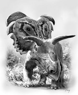 medusaceratops.