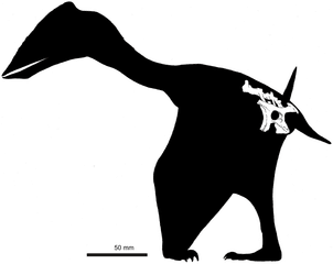 Emplacement des fossiles retrouvés du Ptérosaure Vectidraco.