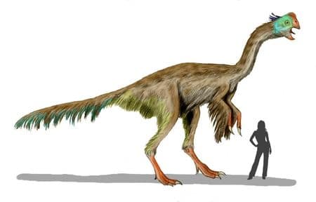 Gigantoraptor.